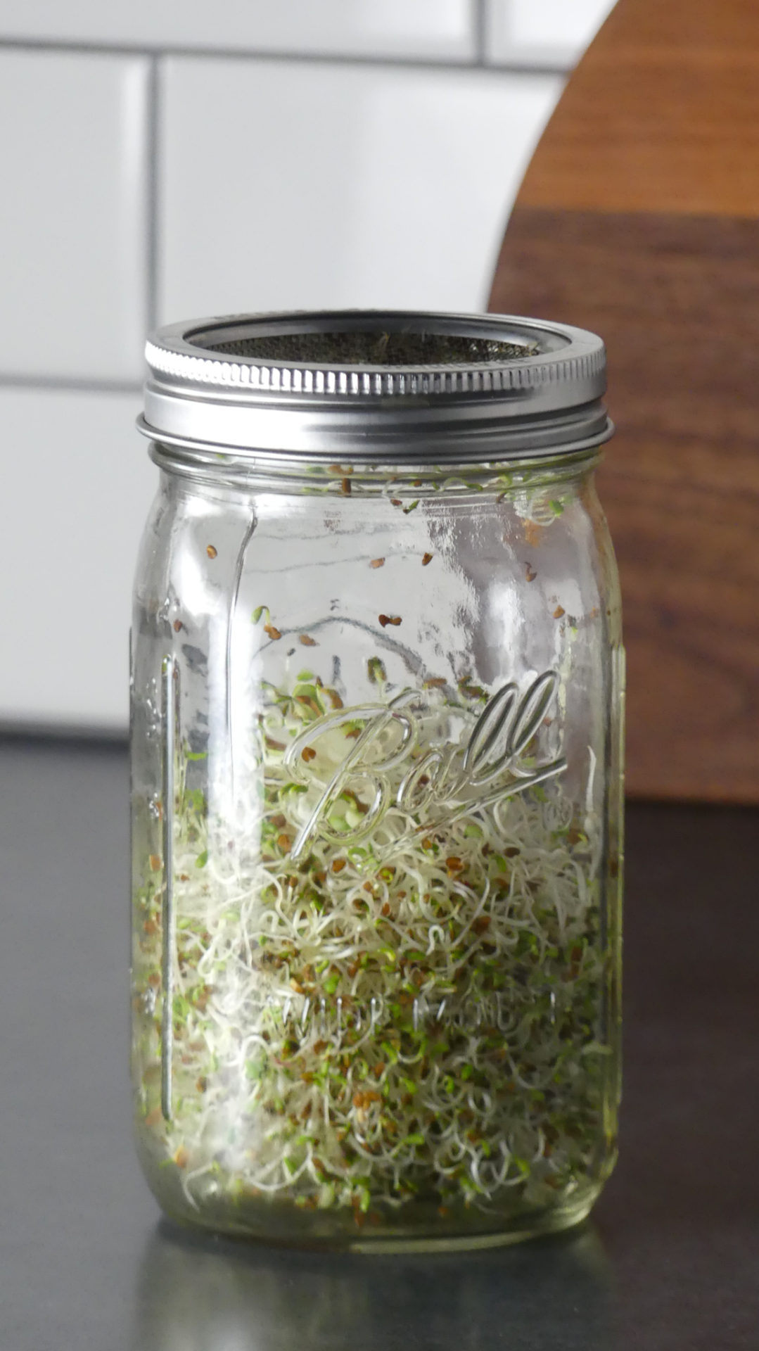 how-to-grow-sprouts-in-a-jar-in-only-a-few-days-in-own-your-kitchen