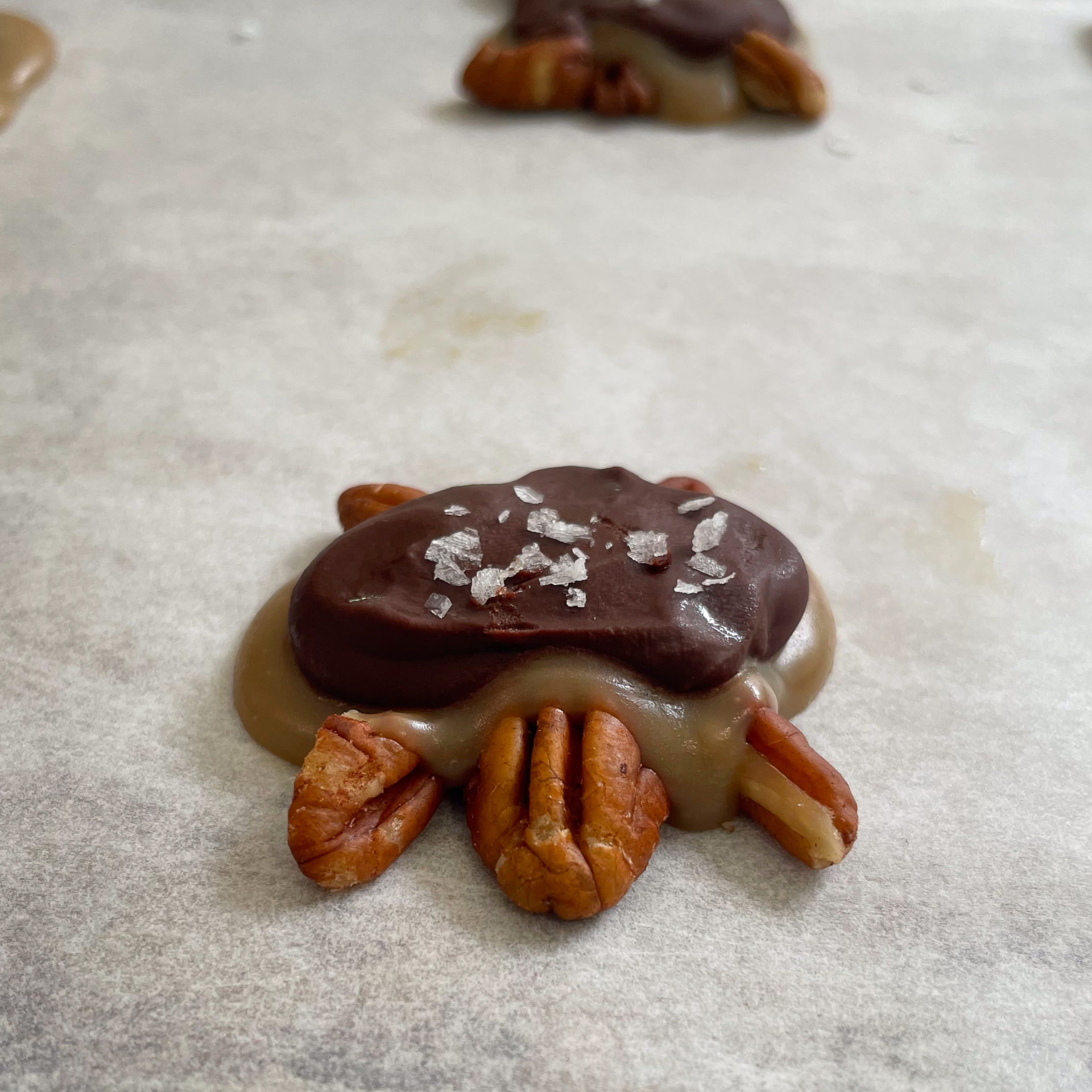 The Best Chocolate Turtles | A Healthy Vegan, Gluten-Free, Dairy-free Recipe
