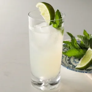 ginger ale with gin and lime and mint